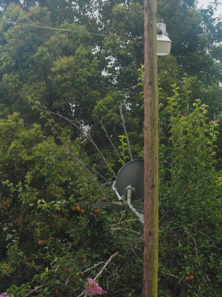 Satellite Dish